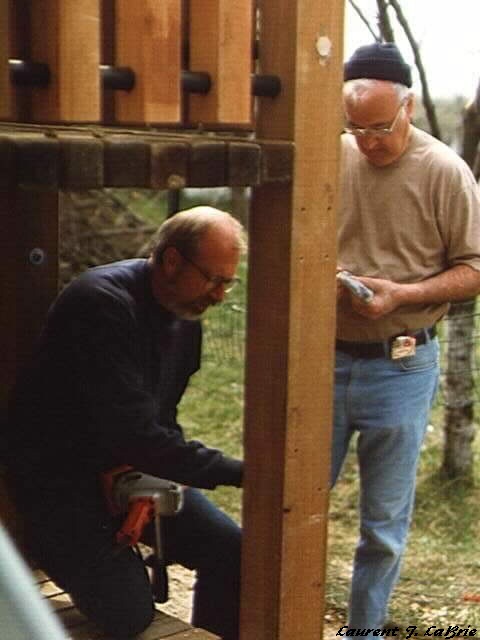 Constructing the jungle gym