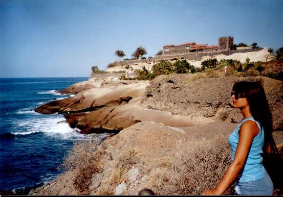 The beautiful bride looking over the ocean.